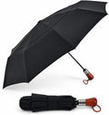 Folding Travel Umbrella, Auto Open & Close, Double Canopy