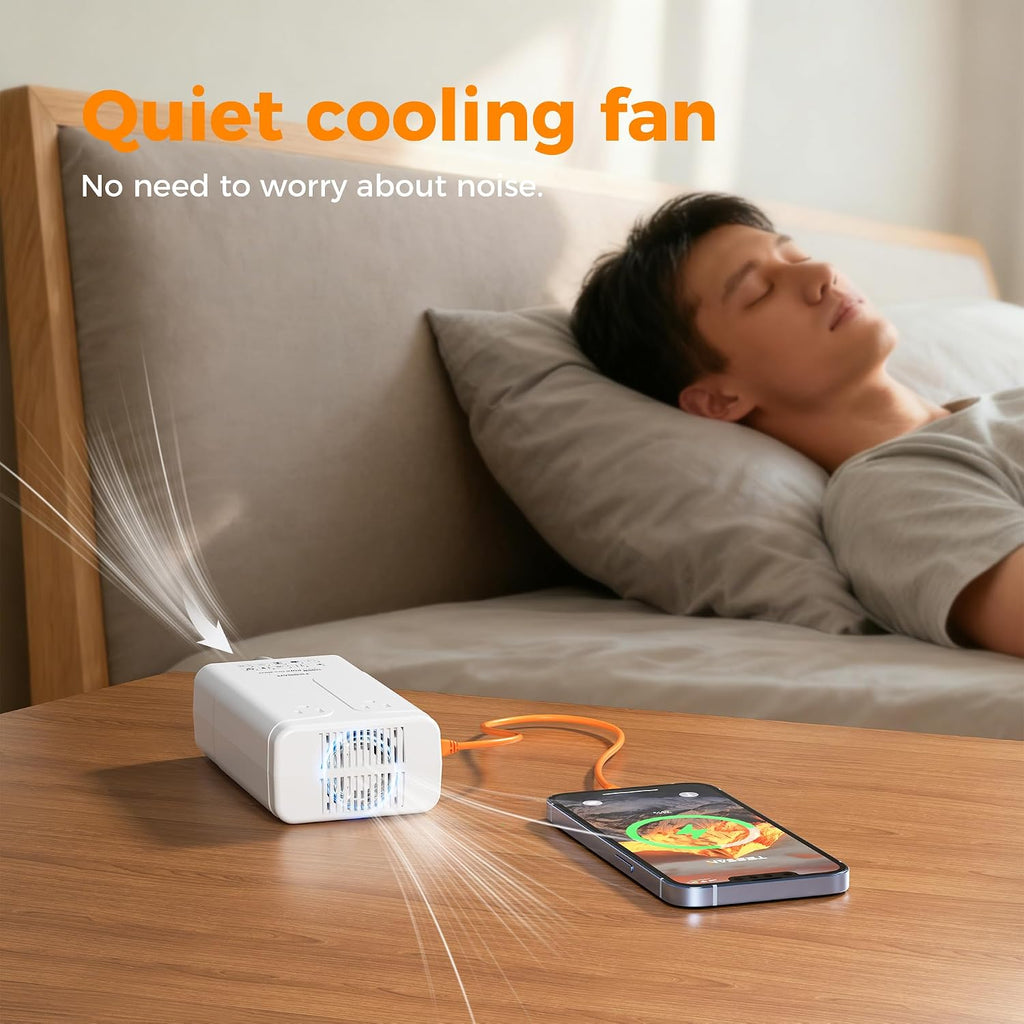 TESSAN 1600W 220V to 110V Voltage Converter US to Europe