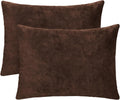 1 MIDDLE ONE 2 Pack Small Pillow, 16 X 12 Inches, Memory Foam Mini Pillow for Travel, Camping, Sleeping, Nap and Neck, Knee, Lumbar Support, Tiny Cushion for Pet, Dogs (Brown)